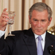 No, not that Bush.